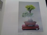 小品盆栽 　松平家に生きる珠玉の名品