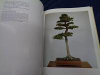 皇居の盆栽展  天皇皇后両陛下御在位記念