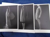 杉本博司　ハダカから被服へ/Hiroshi Sugimoto　from naked to clothed/
