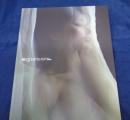 似鳥沙也加 写真集/No.3/MADE IN JAPAN 豪華特装版/DVD欠です。