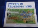 洋書/絵本/英文/Peter in Blueberry Land