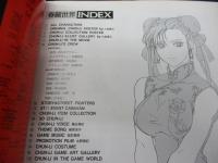 映画「ストリートファイターII」 華麗なる春麗の世界