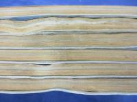 サイクルスポーツ 1978年2.3.4.5.6.12月号 6冊 5.6万円台のランドナー乗り比べ・他