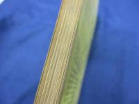 輸入楽譜/オーケストラ譜/ヒンデミット/画家マティス/Mathis der Maler/Hindemith/SCHOTT/
/大きさ縦約26cm×横約18cm/100P/
