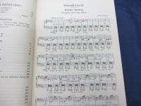輸入楽譜/ヴォーカル譜/ワーグナー/ジークフリート/WAGNER/SIEGFRIED/
/PETERS/大きさ縦約26cm×横約19cm/354P/