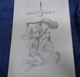 機動戦艦ナデシコ NADESICO STAFF BOOK PILOT