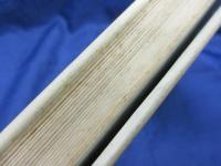 蛸 　 想像の世界を支配する論理をさぐる