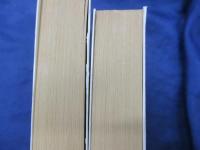 魔術師の挑戦ブック : デュエル・マスター1.2.2冊セットです。