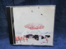 CD/HOLE IN THE WALL/
