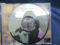 CD/遠藤ミチロウ/空は銀鼠/1994/AQUA RECORDS/
