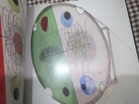 洋）Keith Sonnier: Werke/Works