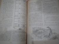 雑誌　科学の世界　創刊号から14冊不揃いセット