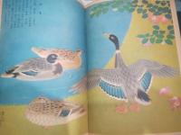 講談社の絵本 鳥ずくし 西沢笛畝他画他 昭和30年