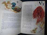 洋書・独文）アンデルセン童話集　グラビアンスキー挿絵