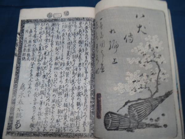 仮名読八犬伝 10冊 国芳画 春水作 合巻 江戸時代 和本 古文書