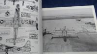 洋書　DIAMOND　IN THE SKY STATES AIR FORCE THUNDERBIRDS アメリカ空軍　サンダーバーズの歴史　