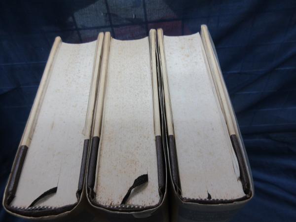 ヨセフとその兄弟 全3冊揃 難有(トーマス・マン 著 ; 望月市恵 ヨセフとその兄弟 全3冊揃 難有(トーマス・マン 著 ; 望月市恵