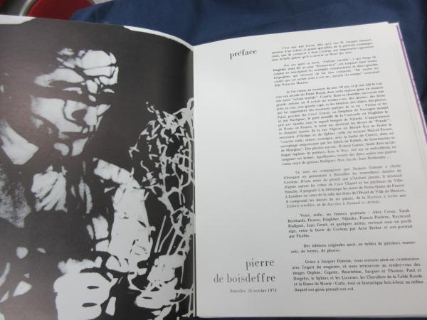 洋 仏カタログ Poesie Graphique De Cocteau ジャン コクトー詩画集 Jacques Damase Galerie 1973 Jean Cocteau 古本 中古本 古書籍の通販は 日本の古本屋 日本の古本屋