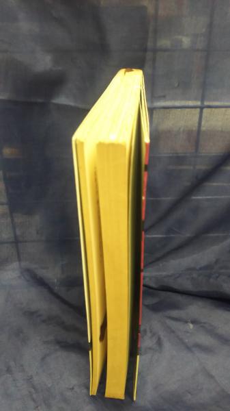 針の館 長編小説(仁科東子 著) / 古本、中古本、古書籍の通販は