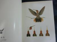 洋書/エスピリトサント州のハチドリ/Beija FLores do Estado do Espirito Santo/Hummingbirds of State of Espirito Santo