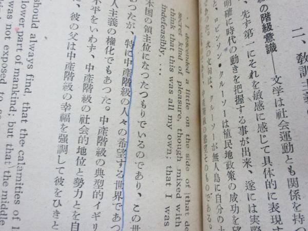 小説の技巧 英国小説の発展 桜庭信之 著 ブックサーカス 古本 中古本 古書籍の通販は 日本の古本屋 日本の古本屋