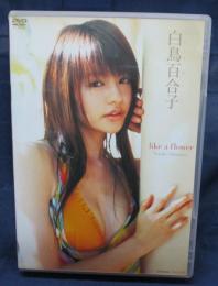 DVD/白鳥百合子/like a flower