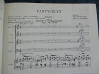 洋書　楽譜/アーウェル・ヒューズ/arwel huges/PANTYCELYN/リコルディ/140P