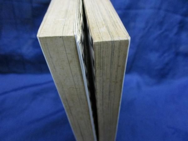 レア・全巻初版】ピンク!パンチ!雅 全2巻（旧装版） 逆井五郎 武論尊