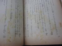 探偵名作少年ルパン全集