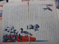 雑誌切抜/千葉省一作/ニルスノバウケン/河目悌二画/不揃い5冊セット/各9P