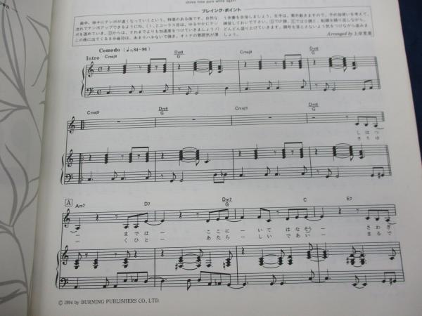 中山美穂ベスト・ソング プレイ・オン・ザ・ピアノ(ドレミ楽譜