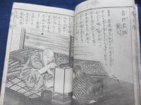 明治孝子伝 　絵入通俗