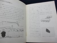 たこを工夫する  手づくりのたこを上げよう