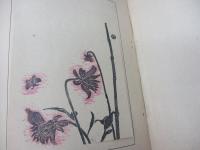 版芸術　棟方志功版画集　限500