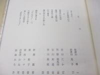 光子のおもかげ