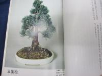 樹種別小品盆栽の育て方 全3冊揃/