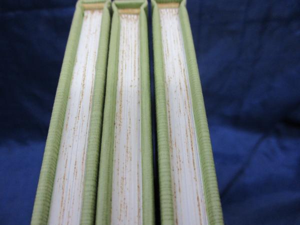 景道・幽趣・ビデオ全2巻/景道片山流家元・片山一