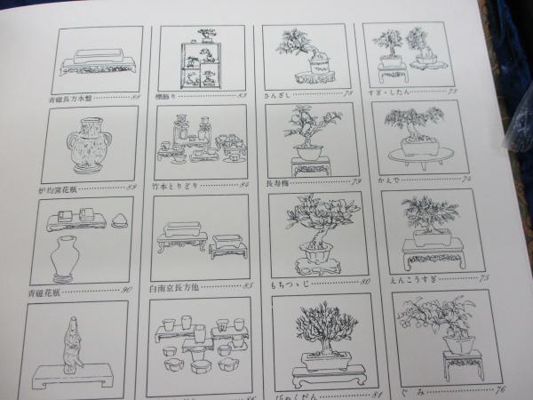 【限定版】　小品盆栽　松平家に生きる珠玉の名品　日本盆栽協会創立十周年記念出版 が大特価！ 小品盆栽 松平家に生きる珠玉の名品(日本盆栽協会