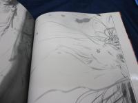 花と蛇 画集(天野喜孝 著 ; 団鬼六 原作) / 古本、中古本、古書籍の