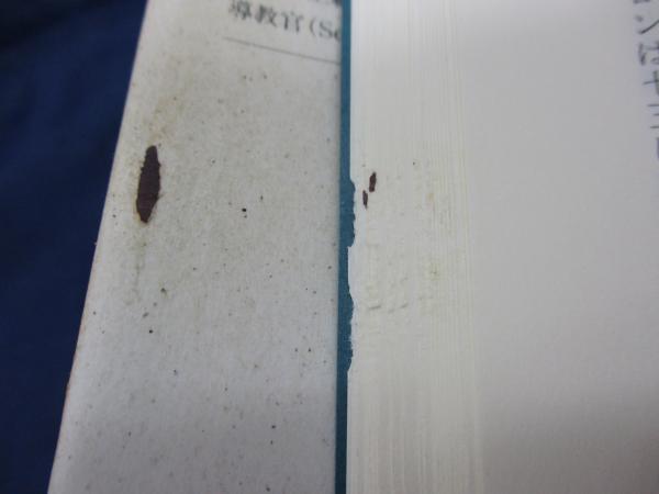 古代のエンジニアリング ギリシャ・ローマ時代の技術と文化 J.G.