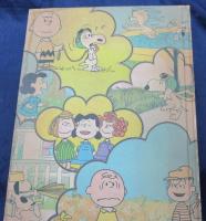 charlie brown dictionary