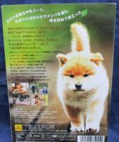 幼獣マメシバ DVD-BOX