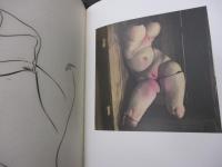 洋書/Mona 美術館　大判図録(オーストラリア）/Theatre of the World , Hobart 
23 June 2012 - 8 April 2013 
