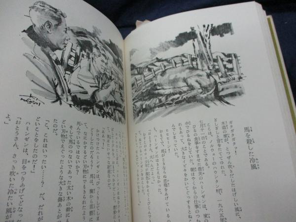 世界のウルトラ怪事件 中岡俊哉 著 木村正志 絵 ブックサーカス 古本 中古本 古書籍の通販は 日本の古本屋 日本の古本屋