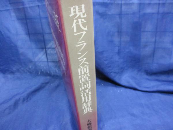 現代フランス（前置詞、表現、話法、類語）辞典 - メルカリ