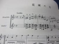 美しいマンドリンの調べ　ギター伴奏付
