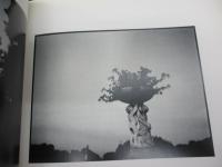 洋書/仏文写真集/イアン　パターソン/リュクサンブール公園の面影/
Ian paterson / le jardin du luxembourg