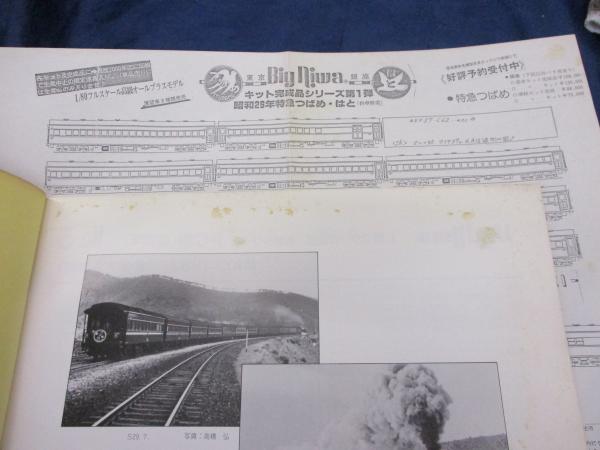 Nゲージ鉄道模型】＜秋の旧客祭り＞旧客作りは資料集めからです