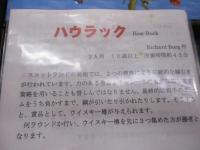 ボードゲーム/ハウラック/ ドイツ語版 /How-Ruck!/日本語説明書付き/カード未開封　付属品揃