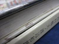 レオナルド・ダ・ビンチの童話